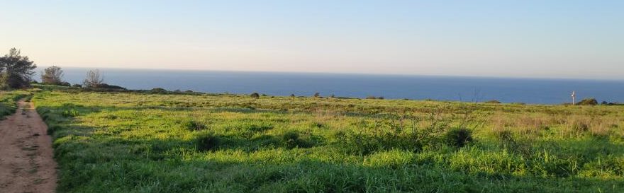 Blick vom Feldweg aus auf den Atlantik