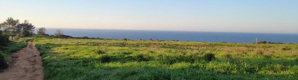 Blick vom Feldweg aus auf den Atlantik